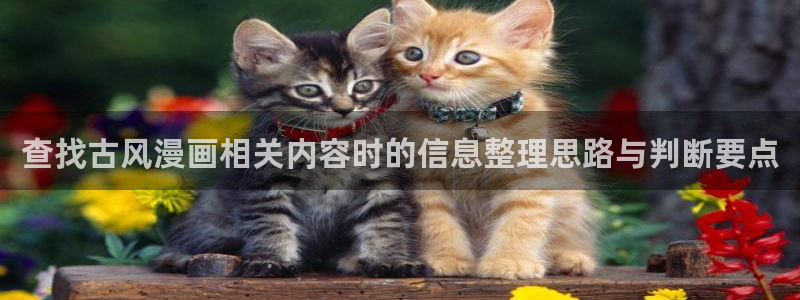 羞羞漫画漫画热点：查找古风漫画相关内容时的信息整理思路与判断要点